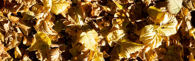 В пятницу температура воздуха прогреется до 11 градусов