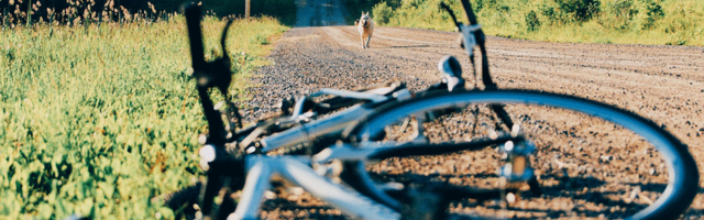 В субботу в шести ДТП в Эстонии пострадали в общей сложности пятеро велосипедистов