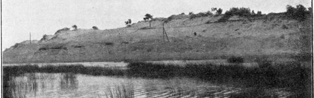 Попытка обложить налогом недвижимость граждан Таллинна. Мирный договор на реке Нарве