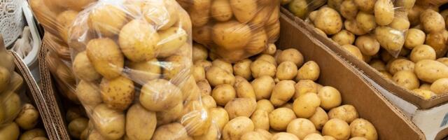 ОБЗОР ЦЕН | Ранний картофель в этом году по стоимости „золотой“