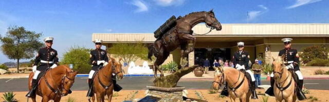 Воскресный антидепрессант Любиной: Конно-скульптурный