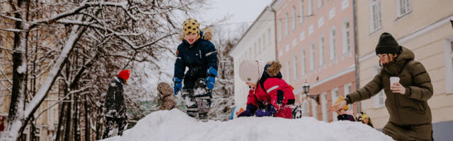 У библиотеки Аннелинна откроются снежные скульптуры