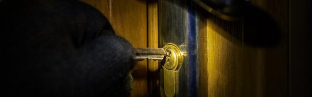 Кухонная утварь, электроника и золотые украшения: в Ласнамяэ произошло три кражи, ущерб превысил 57 тысяч евро