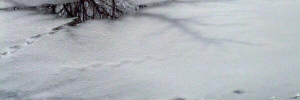 Спасатели в Риге помогли двум детям выбраться со льда на берег