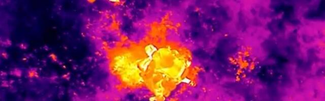 Заблудившуюся в 150 метрах от дома попечения женщину удалось спасти при помощи дрона и кинолога