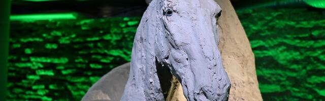 Проактивное искусство: на «самой дорогой парковке Таллинна» открыли выставку скульптур