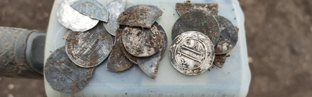 Нарвитянин нашел клад арабских серебряных монет 10-го века