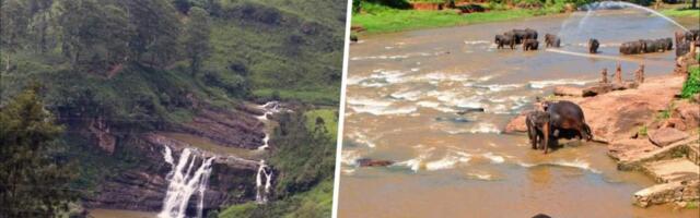 Что посмотреть на Шри-Ланке в 2026 году — места и достопримечательности