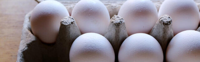 В прошлом году в Эстонии было произведено 189,5 млн яиц