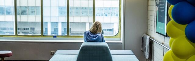 Более 80% украинских беженцев в Эстонии нашли работу и планируют остаться