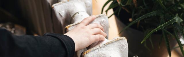 Литва поможет жителям этой зимой оплатить огромные счета за отопление. Эстония ищет баланс