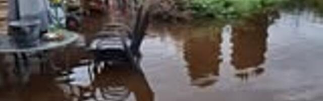 Дачи и сады недалеко от Нарвы затопило: владельцы не знают, что делать, спасатели помогают