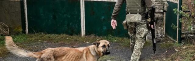 Правда ли, что на украинском телевидении военный предложил чипировать мобилизованных?