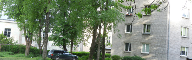 Нарвитяне болеют за красоту своего города