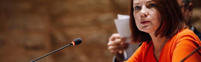 Пентус-Розиманнус: новый бюджет ЕС будет содержать меньше отчётности