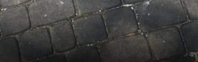 Вандала привлекут к ответственности