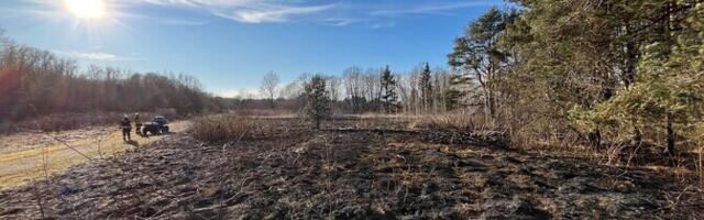 В окрестностях Нарва-Йыэсуу горела сухая трава на территории около 3500 квадратных метров