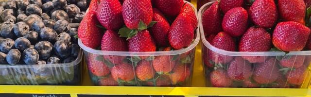 ЦЕНЫ НА РЫНКАХ | Клубника продается за баснословные деньги, но разочароваться в ней легко