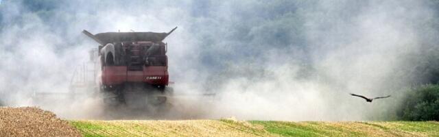 СМИ: Израиль отказался от партии зерна, которое, как подозревается, украдено у Украины