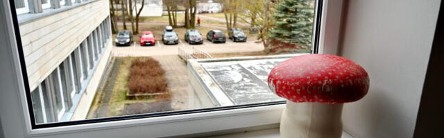 Мягкие зимы в Эстонии — это не редкий пример