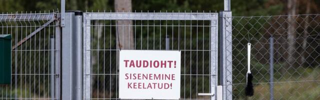 На эстонской ферме с 4500 животными обнаружена африканская чума свиней  