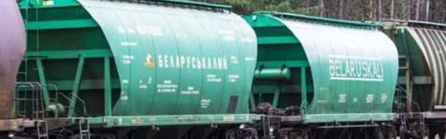 Литва выделила еще 0,6 млн евро на арбитражные споры с «Беларуськалием» и Hasenberg