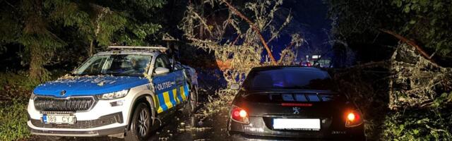 ФОТО | Упавшее на дорогу дерево повредило машину полиции, водителя доставили в больницу