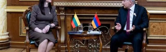 Ругинене: сближение Армении с ЕС повышает региональную безопасность