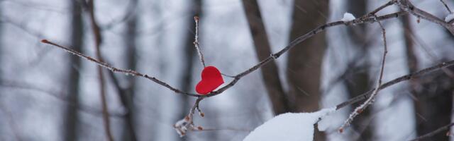 Неприятности в День святого Валентина: падение с крыши во время секса и переломы интимных частей тела