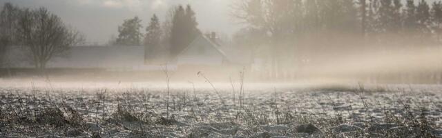 В ближайшие дни в Эстонии ожидаются снег, туман и ледяной дождь