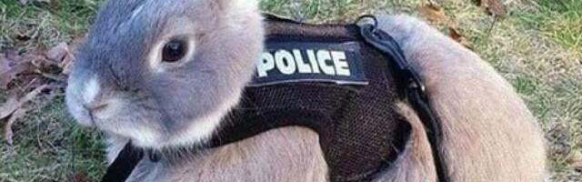 Агент 000-07? Цифровые коды вместо имён присвоят латвийским полицейским