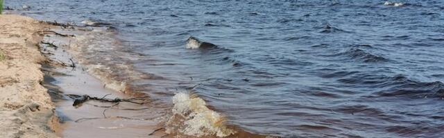 На берегу Чудского озера построят аккумуляторный парк
