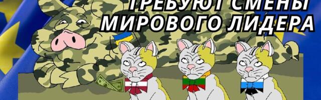 Прибалтийские тигры требуют смены мирового лидера: Чем Трамп не угодил Кайе Каллас?