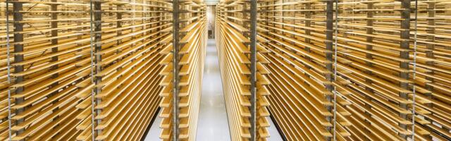 ФОТО | В Эстонии открылся крупнейший в странах Балтии и Северной Европе склад для созревания сыров