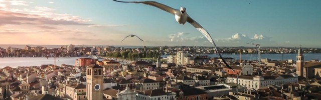 С высоты птичьего полета: победители фотоконкурса Drone Photo Awards 2020