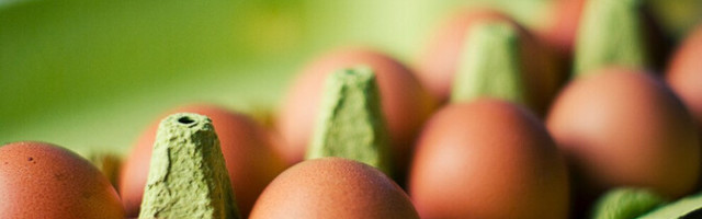 Жители Эстонии съедают в два раза больше куриных яиц, чем производится в стране