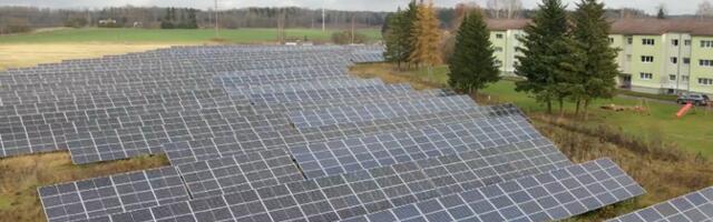 "Очевидец": как солнечный король заработал миллионы, применяя методы грабительского капитализма