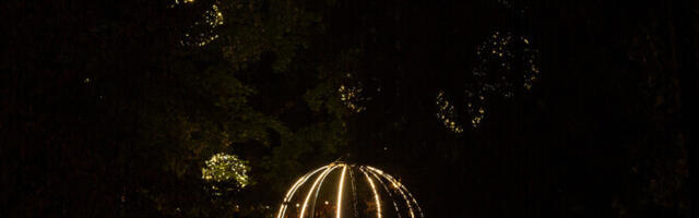 В парке Кадриорг вновь пройдет фестиваль "Свет шагает"