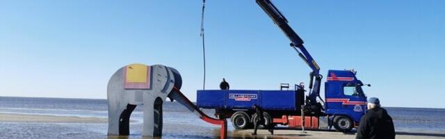 Лето близко: на пляже в Пярну появился слон