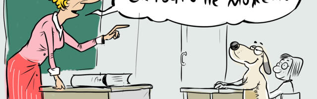 Министерство проверило школы, но у самоуправления остались вопросы