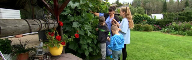 В Эстонии отметили День бабушек и дедушек