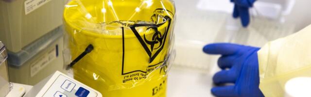 Зафиксирована первая в мире смерть человека от штамма птичьего гриппа H5N5