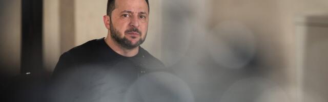 СМИ: Трамп может позвать Зеленского на встречу с Путиным 