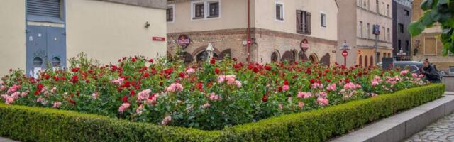 Жителей Литвы предупредили о росте цен на землю с 2026 года