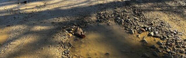 Холодная зима сказалась на состоянии грунтовых дорог