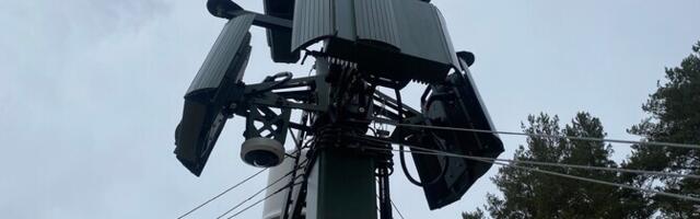 На юго-восточной границе Эстонии с РФ появились первые участки с защитой от беспилотников