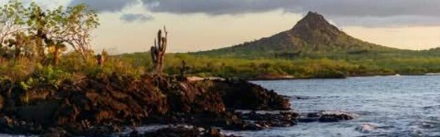 Назад к динозаврам: С помидорами на Галапагосских островах происходит нечто странное