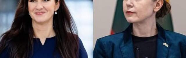 Ругинене: уходящая министр намеренно дискредитирует оборонный бюджет