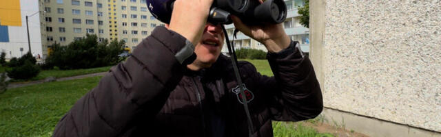 "Зеркало": на улице Катлери в Ласнамяэ без бинокля не припаркуешься