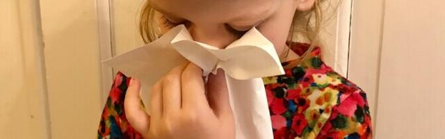 Департамент: распространение вируса гриппа снизилось, но заболеваемость остается высокой